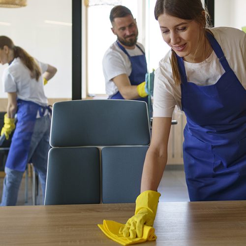 janitorial services